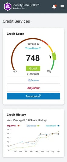 Sample mobile app mockup showing 3-bureau credit score and 12-month credit history line graph
