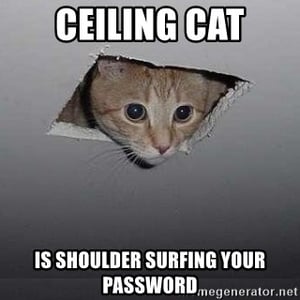 Ceiling Cat_Shoulder Surfing Image 3