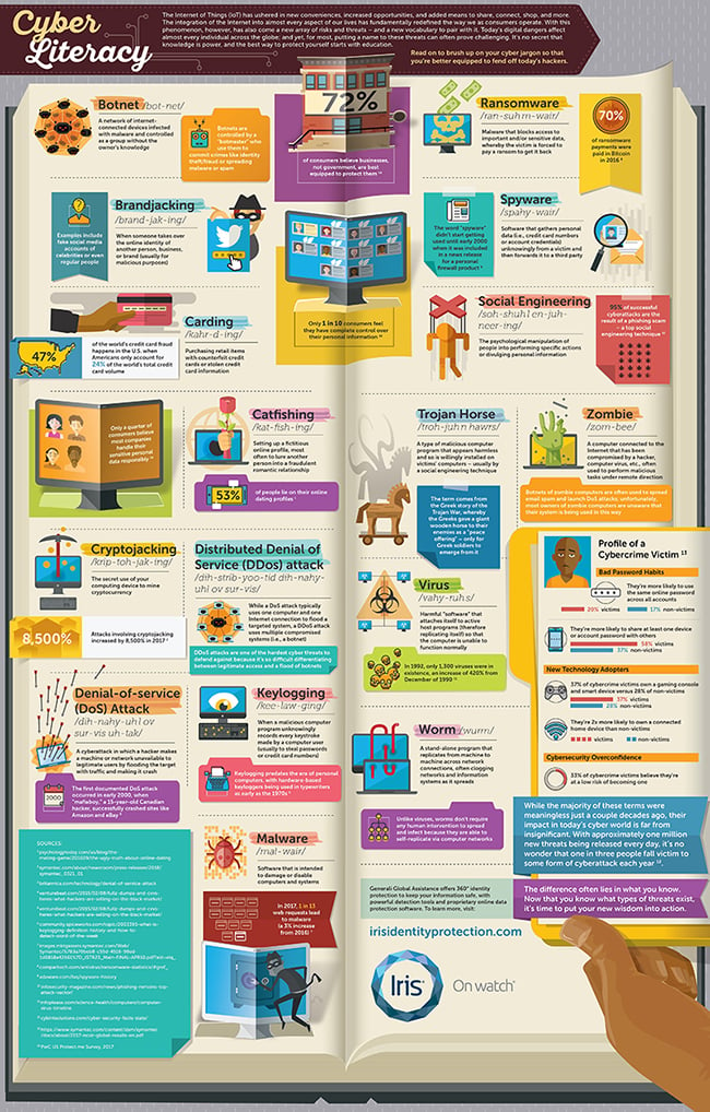 Cyber Literacy Infographic FINAL-preview-1