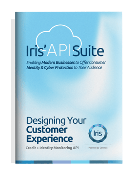 Design_Customer_Experience_API_Cover_Final