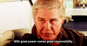 Great Responsibility_Spider Man