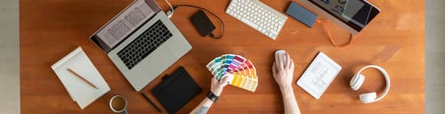 Portal or API: Choosing Your Iris User Experience Option