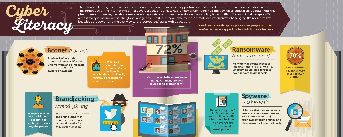 Cyber Literacy Infographic FINAL-10-1