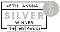 Telly_45th_Winners_Badges_silver_winner