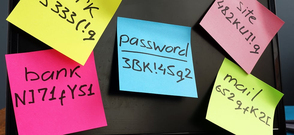 Password Protection: My Mother's Maiden Name is…