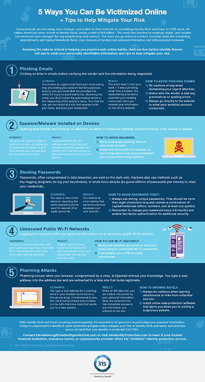 Iris_Five-Online-Risks-Infographic-smallpng-1